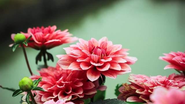 一位女企业家的婚姻顿悟，给所有女人提个醒