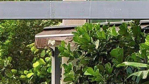 台风 “桦加沙” 里，腾讯企鹅 “拴 Q” 梗咋引爆全民互动？