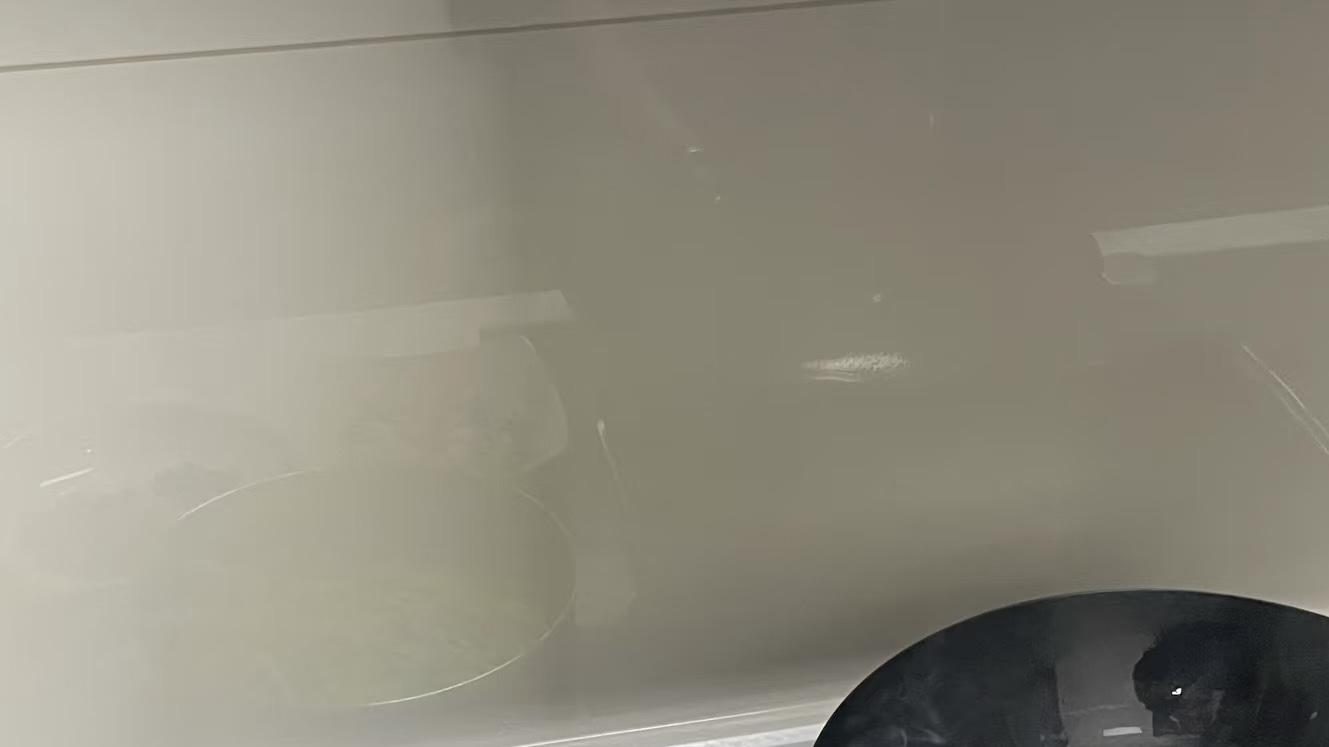 90%的人都错了！这样做五花肉不腻，四季豆翠绿还入味