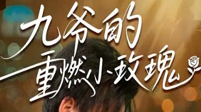 短剧《九爷的重燃小玫瑰》一场精彩绝伦的视觉与情感盛宴