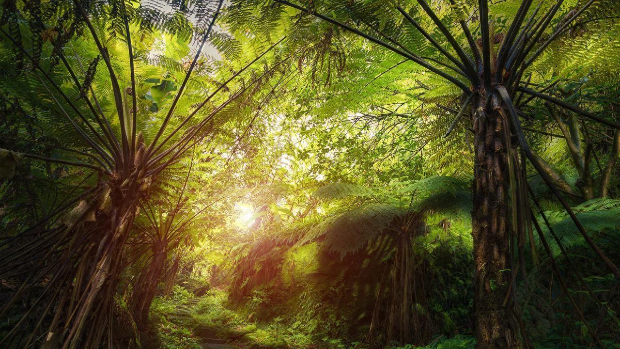 FSC认证格拉辛纸袋精密电子元件防静电半透明耐磨蜡光纸包装袋