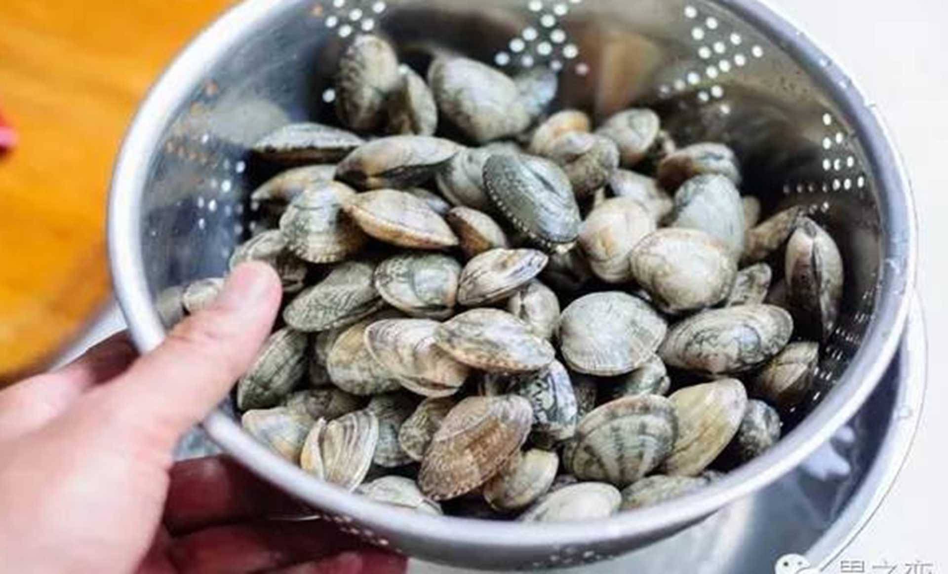 文蛤苗种质量鉴别，广西沿海育苗场，壳纹清晰度标准，畸形率控制在0.5成内