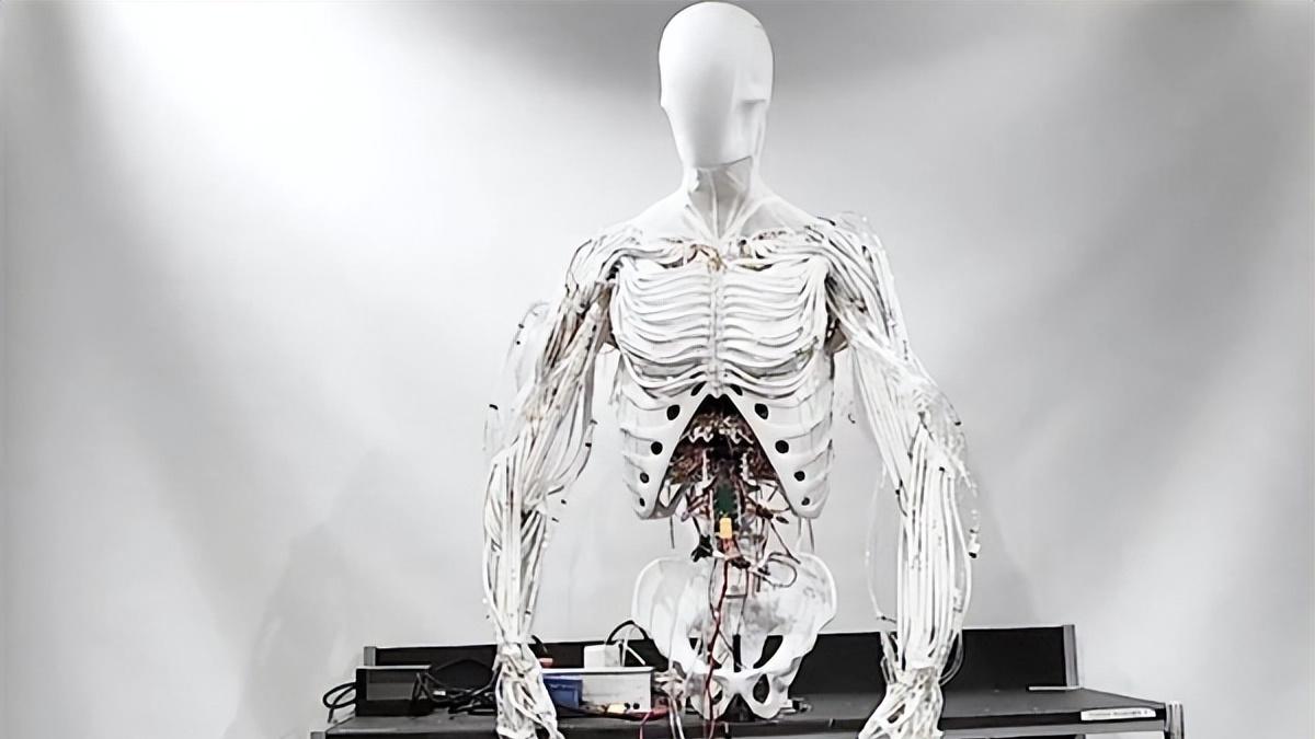 世界首个可双足行走机器人亮相：100%复刻人类肌肉、骨骼、血管