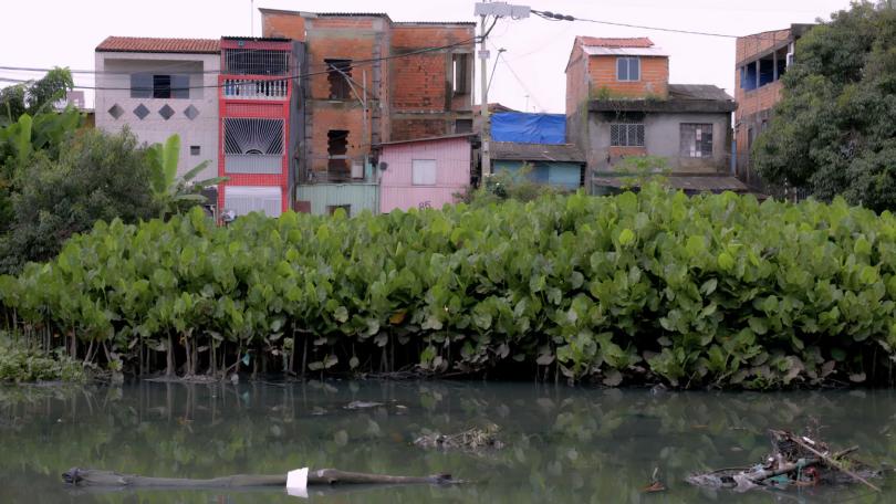 第30届气候变化大会召开！《巴黎协定》设定的目标已然溃败，而今出路何在？