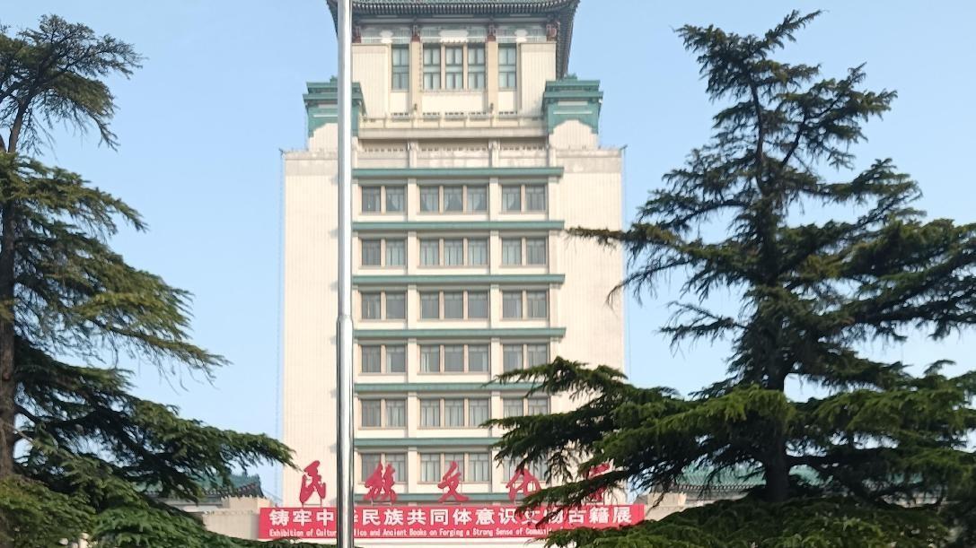 中国文化信息协会专业委员会艺术顾问——唐忠球