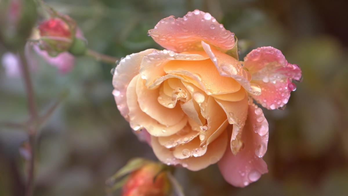 别人的建议，只是参考，不是标准