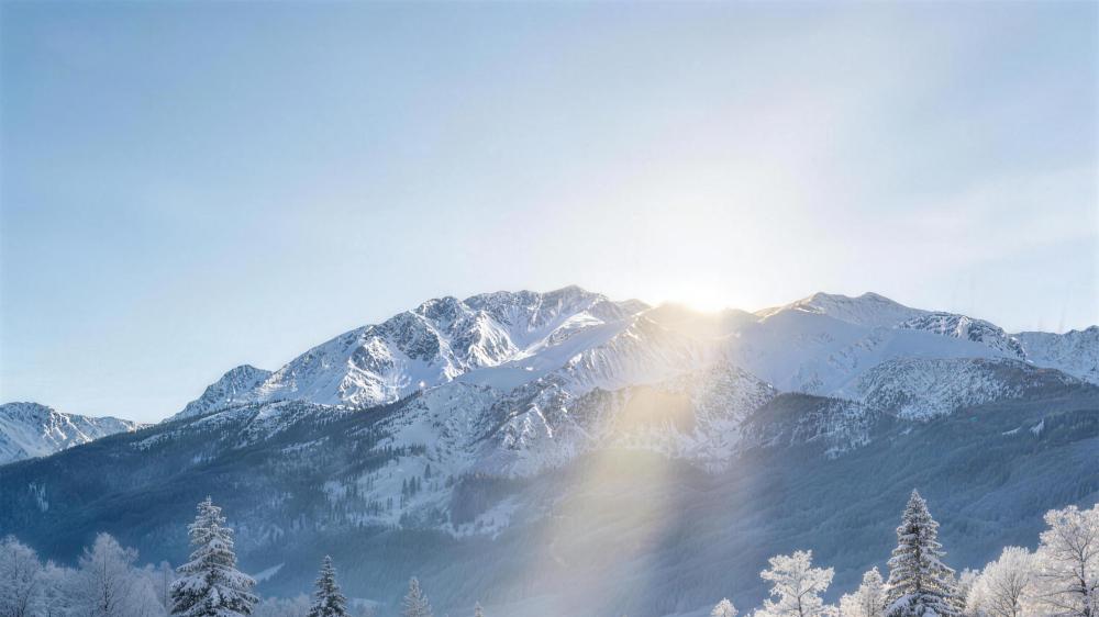 从警务到电力系统，领克08 EM-P成为高端公务用车“实力担当”