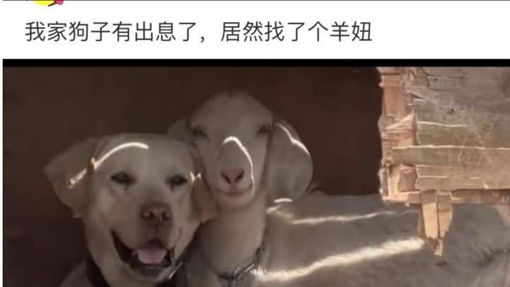 每日一笑：盘点网络上那些隐晦的笑话，哈哈哈！