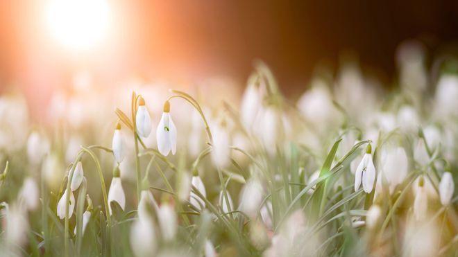 七月中旬开始大喜事从天而降，惊喜不断，财运到家的三个生肖