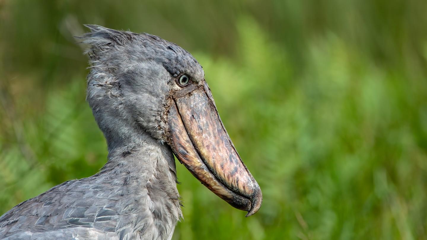 幽默也有“段位”？从只会搞笑到掌控人心，你处于哪一层？