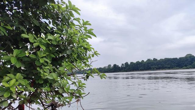 东莞桥头三大野钓点分享，个个爆护，走过路过别错过