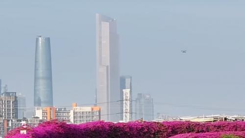 《十月的三角梅》--作家白如梦新作