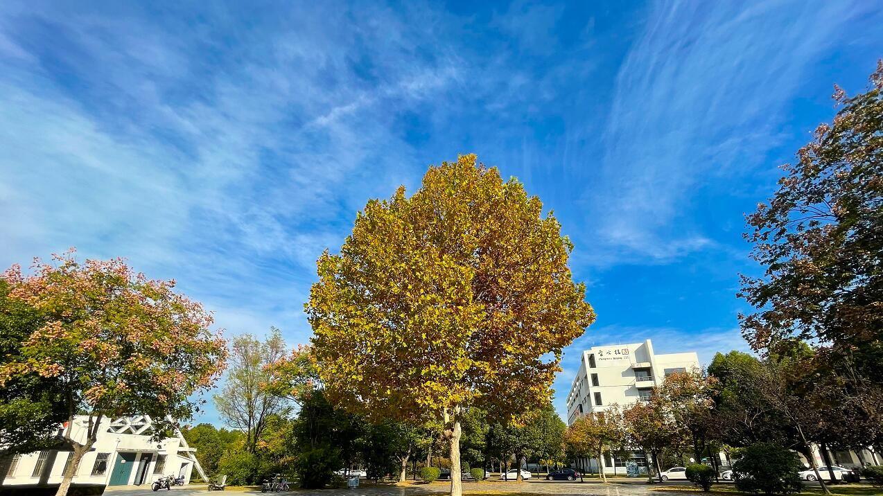 淮阴师范学院2025年诚聘高层次人才