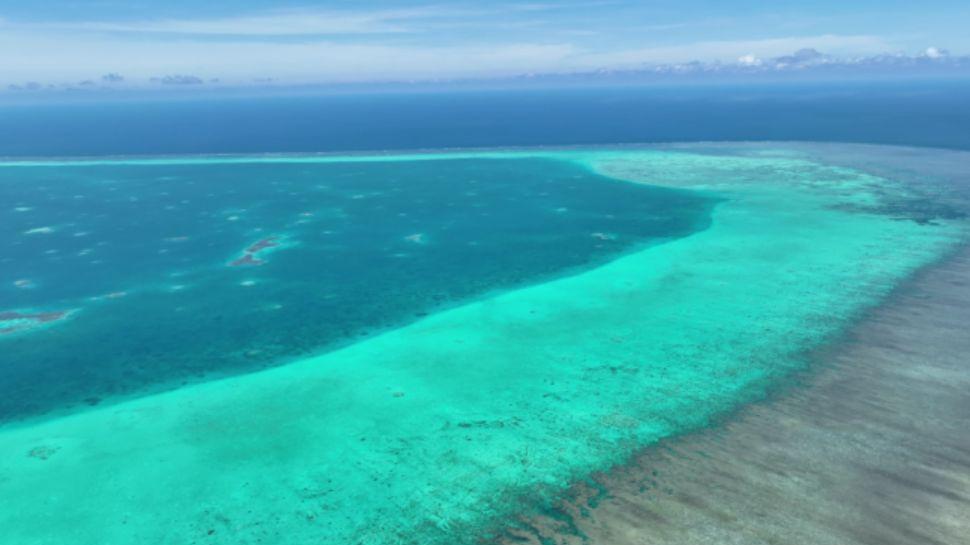 黄岩岛成为国家级自然保护区，意味着要防范外来“入侵生物”