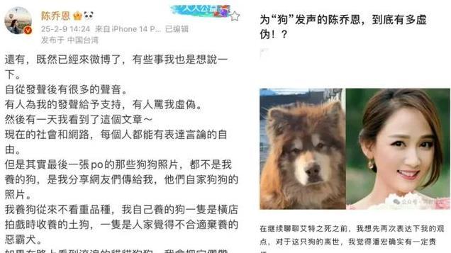 从陈乔恩用繁体字发文被质疑：谈网络舆论与身份认知的荒诞