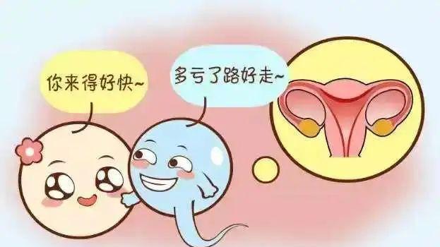 昆明送子鸟：输卵管堵塞？难怪总是怀不上，3种方法帮你疏通输卵管