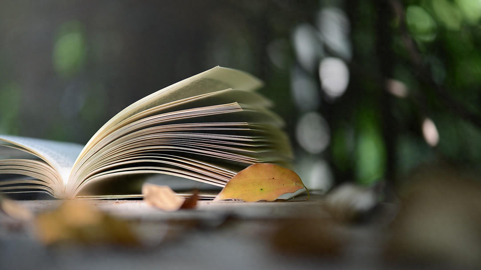 训练好孩子的阅读能力和思维能力，孩子的学习才不会发愁