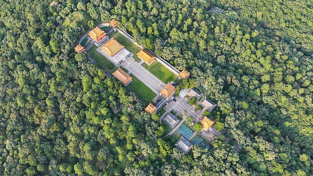 蝴蝶大乐透25112期分析，上期温码开出4个号码，本期的重点有变化吗