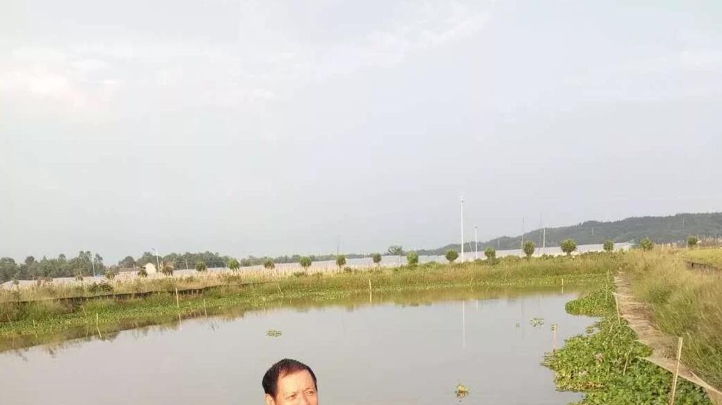 新手养龙虾，怎样在养殖过程中做好记录，总结经验