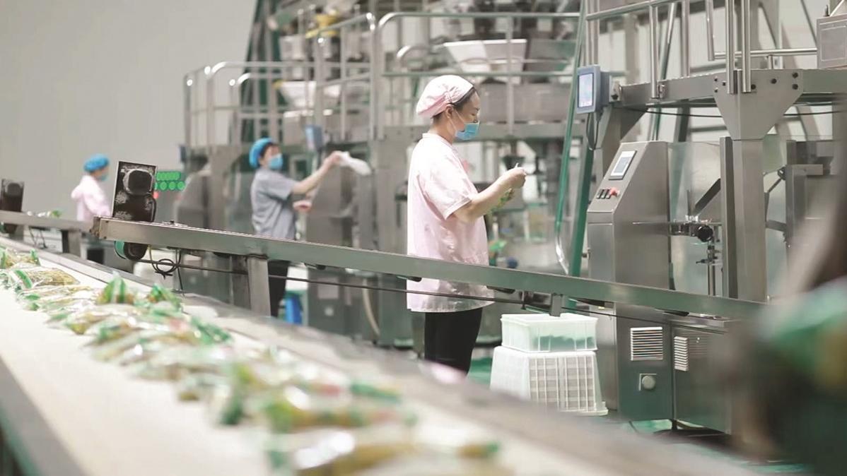 挺起产业“硬脊梁” 竞逐发展“新赛道”