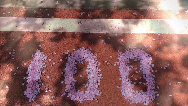 姐妹欠 100 万贷款离婚净身出户，她能东山再起吗？