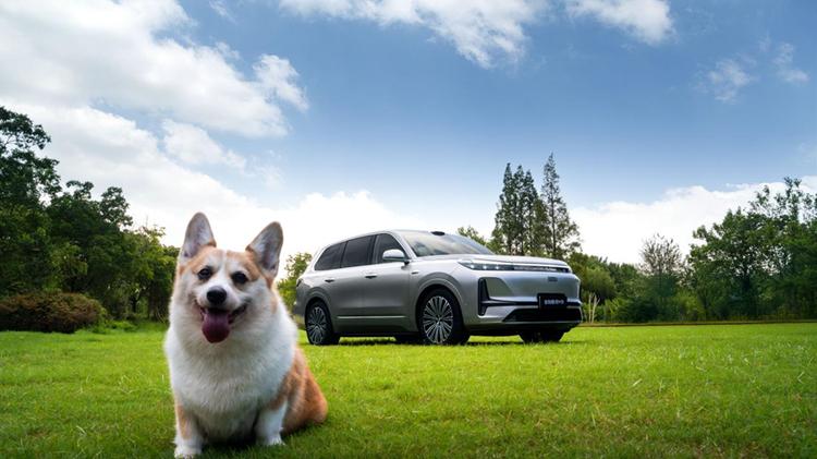 预售价19.38万起，吉利银河M9树立旗舰SUV价值新标杆