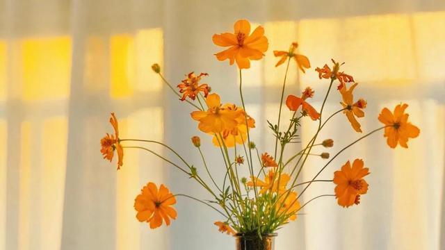 灵魂伴侣：相处舒服，无言也暖（美文）