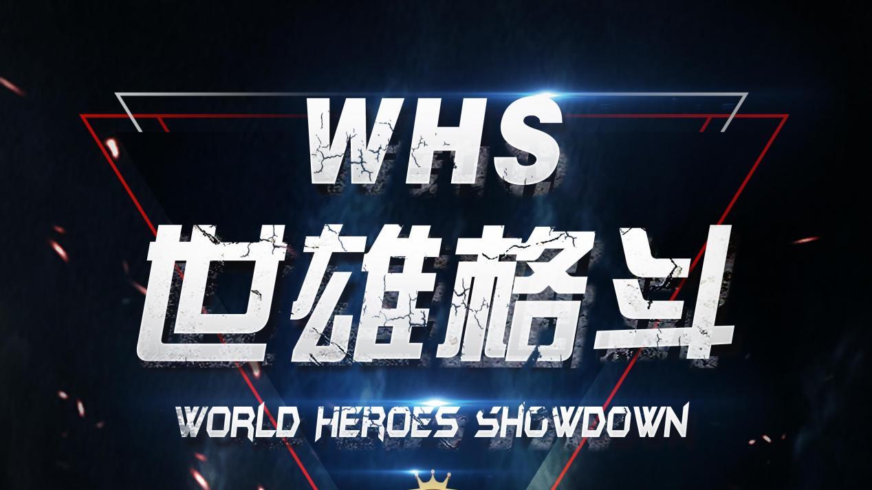 世雄格斗创历史先河 19个国家格斗高手齐聚三亚，一决雌雄！