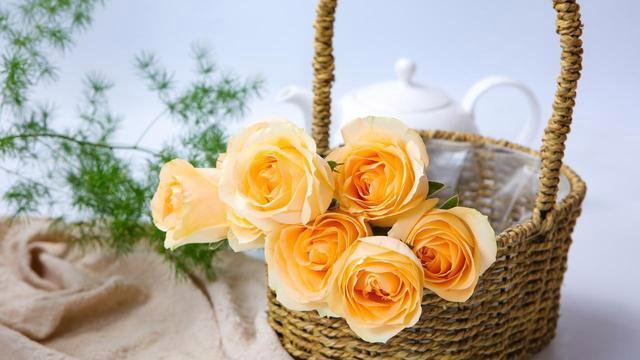 一定不要分享自己，无关紧要的小事可以成为他人攻击的筹码