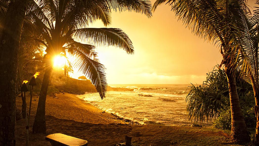 10句醒脑神句，看完不白看，起码浪费2分钟