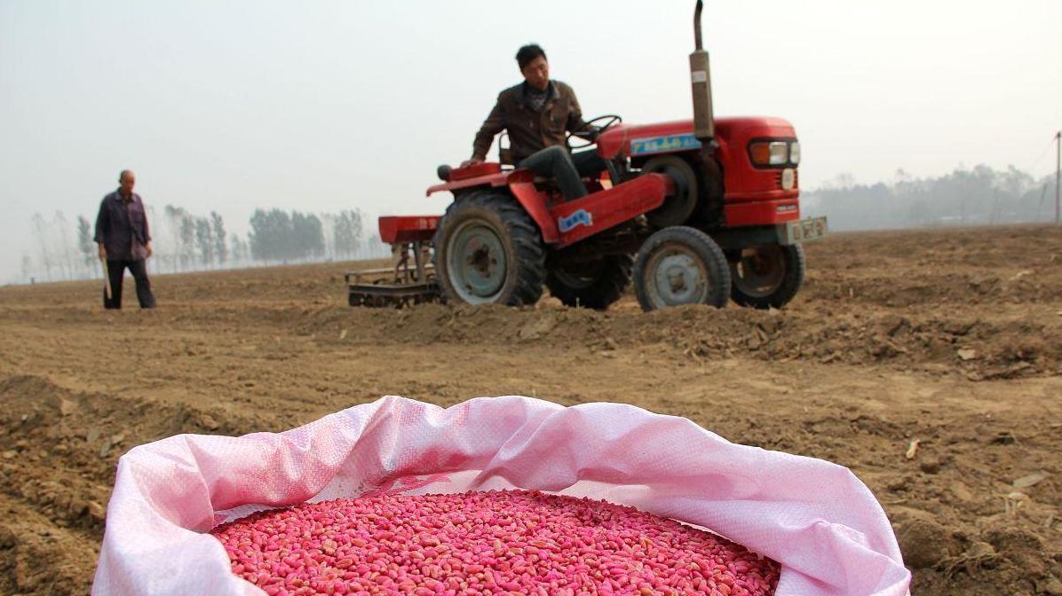 每亩地小麦施多少肥 这些肥料值得考虑