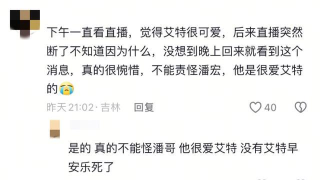 越闹越大！潘宏评论区沦陷，艾特主人发声，陈乔恩怒斥这是谋杀案