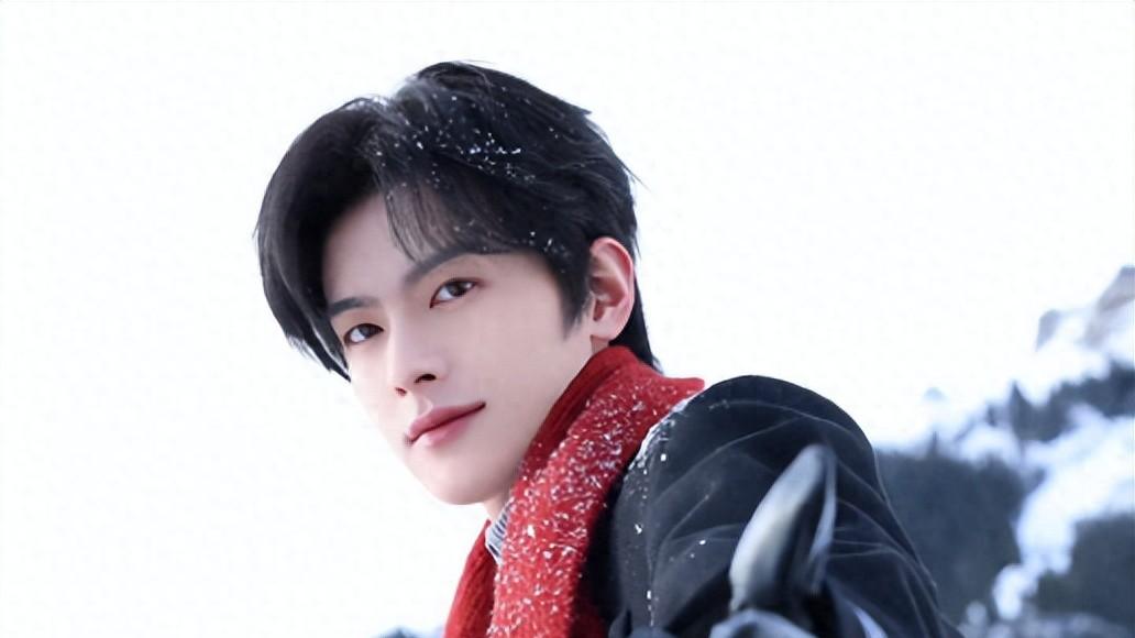 内娱又出现一位帅哥，被指“小郭富城”，何炅在线认证长相帅气