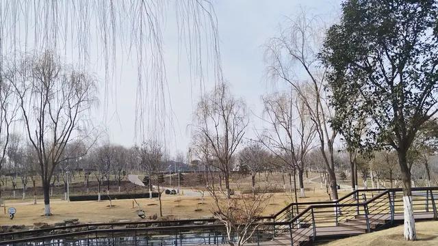 为什么父母越妥协，孩子越变本加厉的对抗