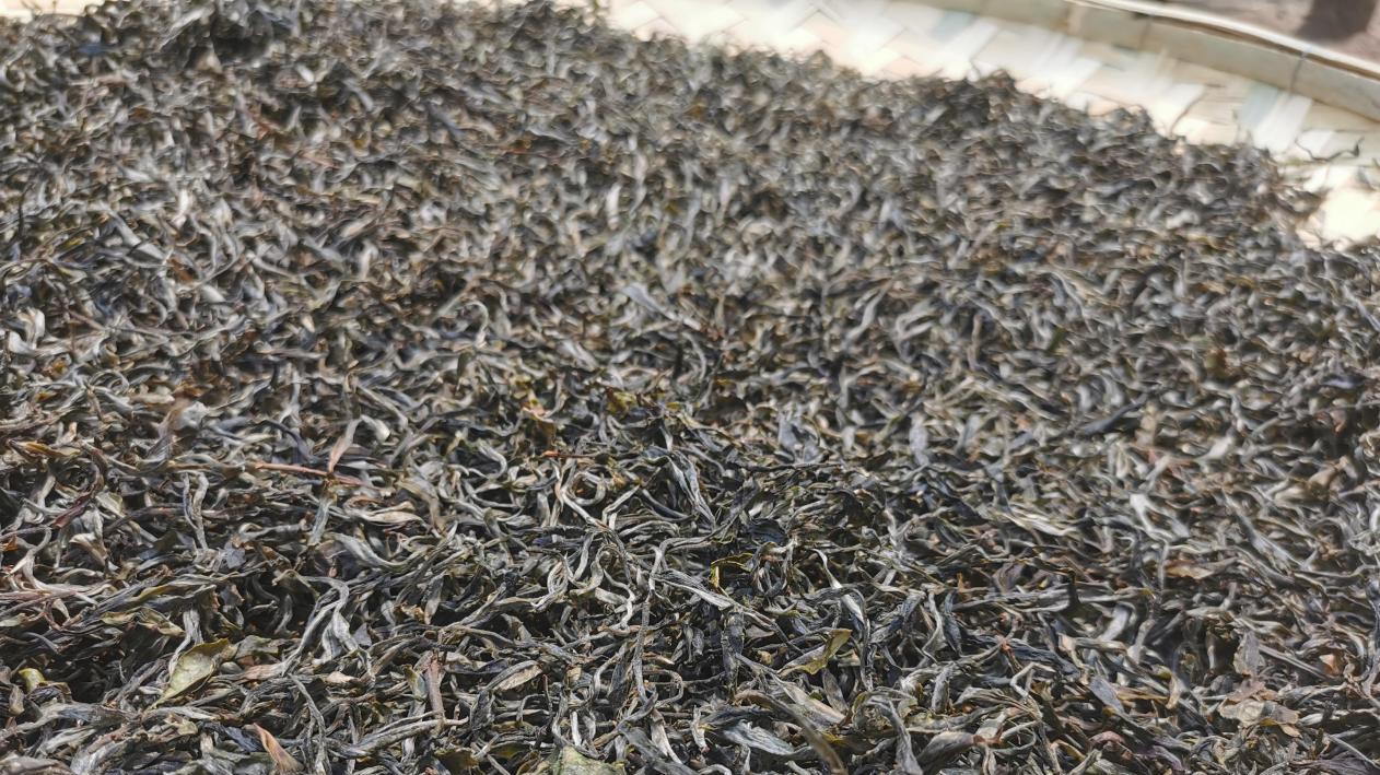 丁家寨普洱茶特点