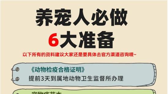 高铁可以猫咪托运吗？宠物托运方式和优缺点新手不踩坑