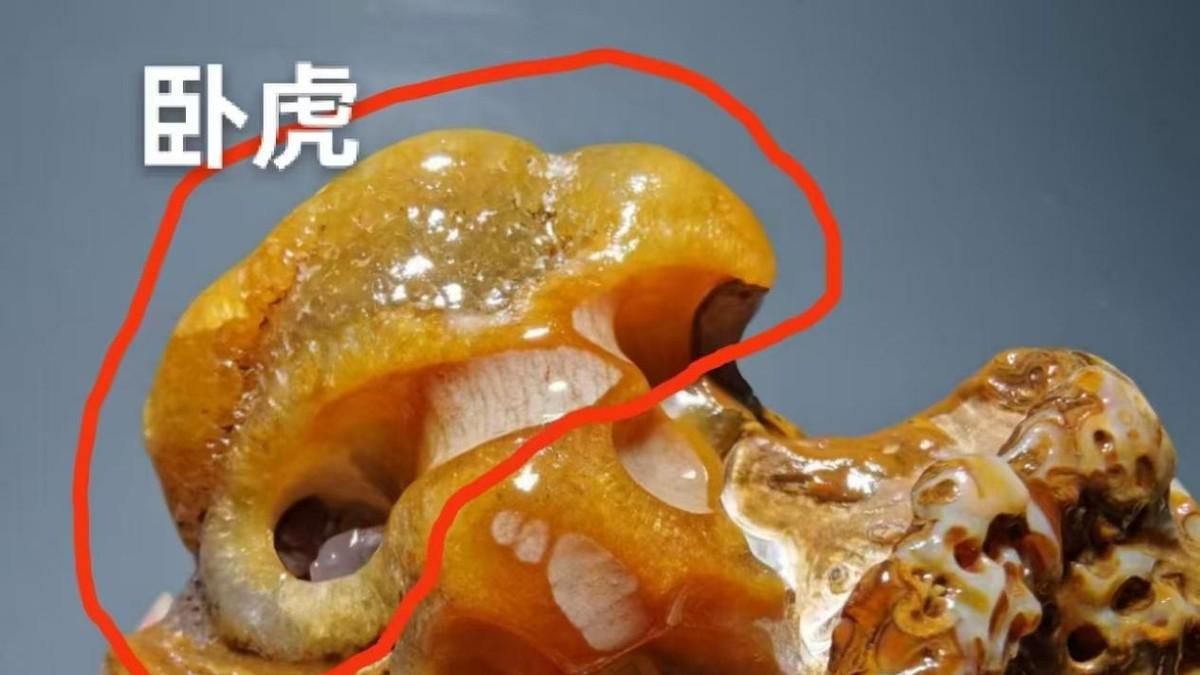 《玉石论坛65》央视付小明谈大自然亿年雕出浮雕：丹霞映苍松绝美