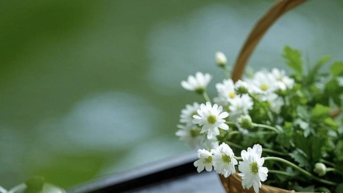 「清明冷食」竟是古代版轻食主义？    ——从寒食禁火到青团润饼，解锁中国人的春日仪式感