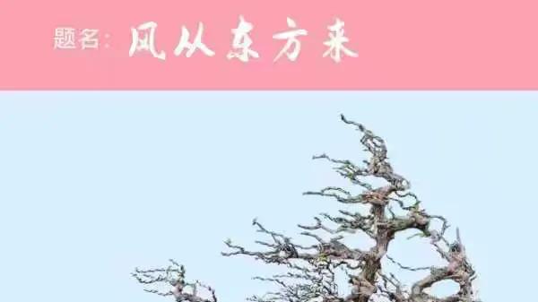 《国际聚焦》声名远扬的艺术家——胡庆魁