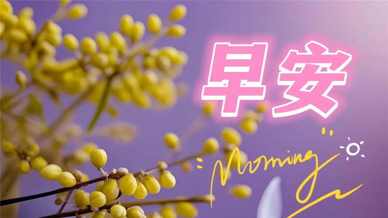 给迷茫自己的强心针，10 句正能量金句，助你打破迷茫枷锁