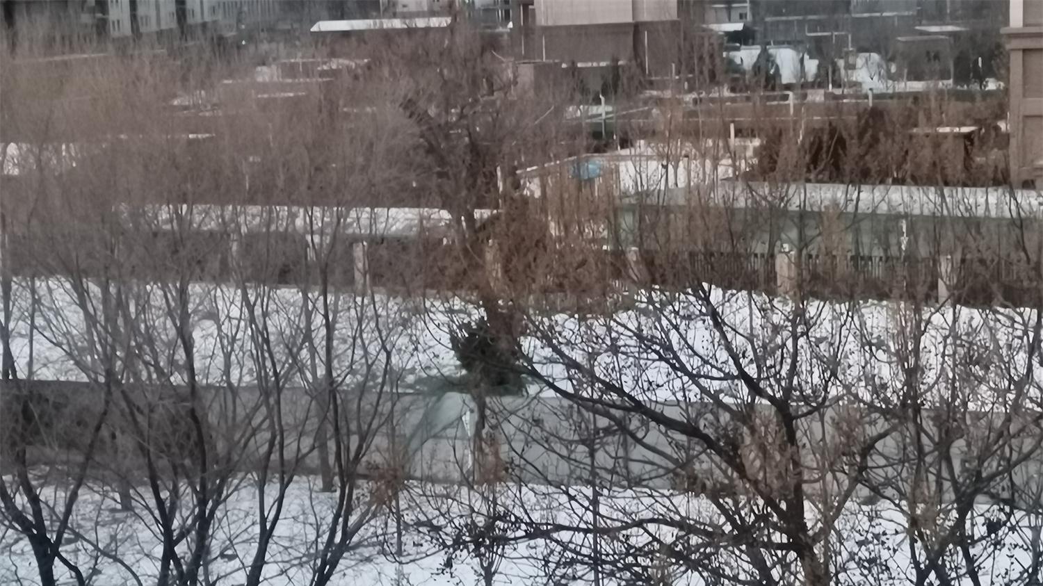 千里黄云白日曛，北风吹雁雪纷纷。