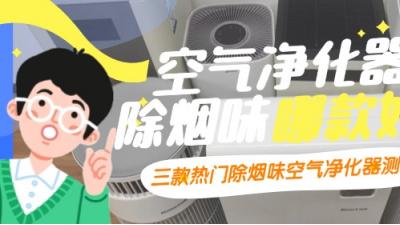 空气净化器除烟味哪款好？三款热门除烟味空气净化器测评