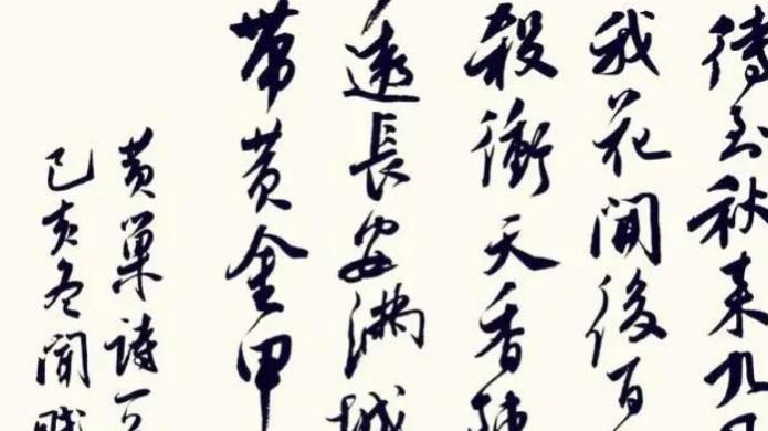 残暴起义军背后的历史推手, 黄巢与门阀世家的千年对决