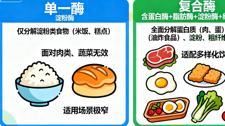 果蔬酶粉里的 “复合酶” 比 “单一酶” 更好吗？成分党分析