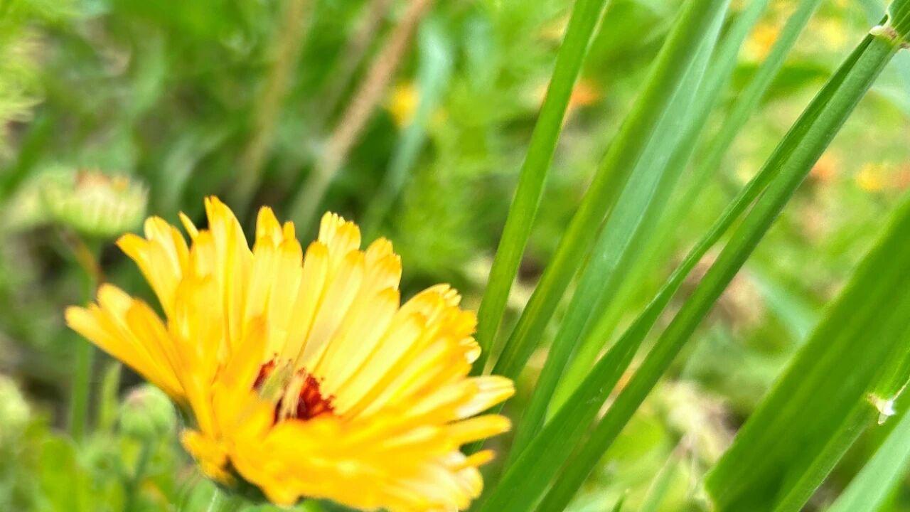 男人越爱做以下的事，越没把你当回事，早点看清