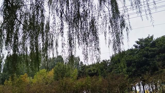 当孩子内驱力缺乏时，我做好这5个方面的引导与赋能，结果很惊喜