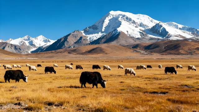 湟水鎏金映秋廓，昆仑披彩入诗行！西宁秋韵，高原上的斑斓史诗