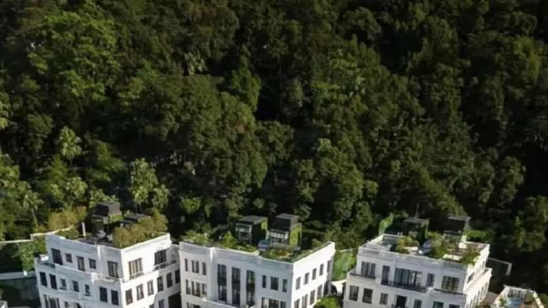 香港的有钱人呐，都爱往山顶扎堆！