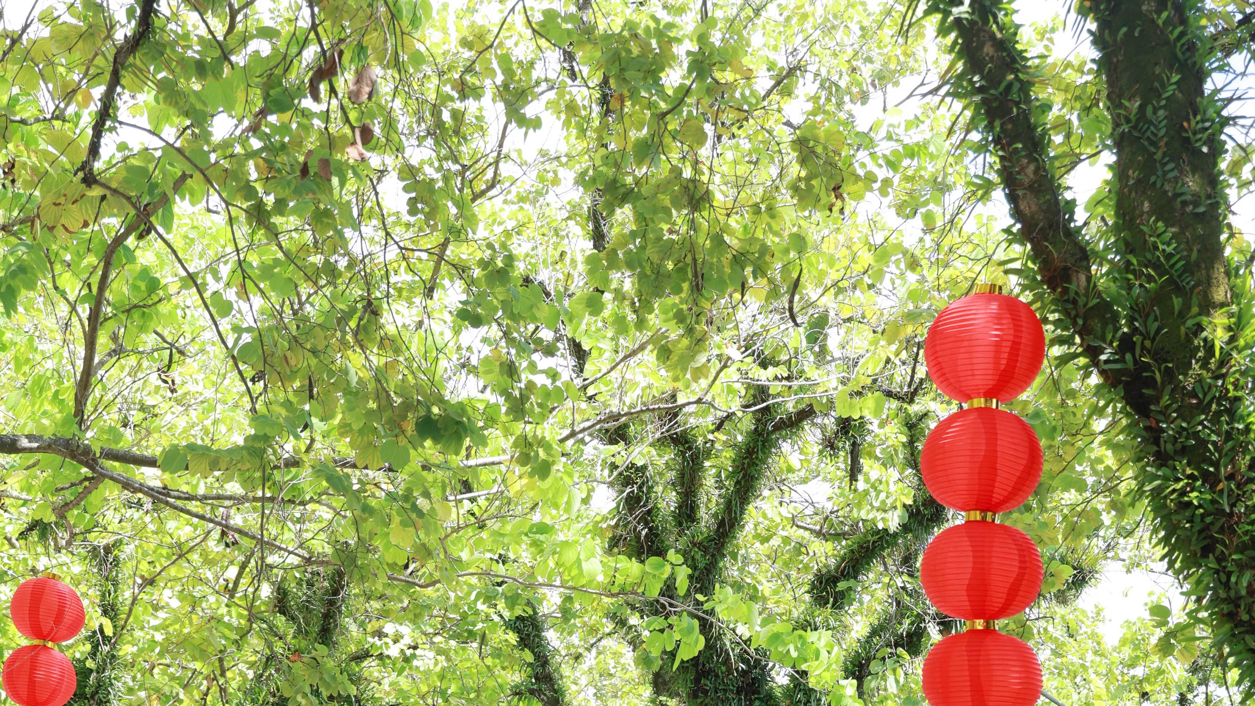 《这里很好吃》探潮州！“世界美食之都”非遗美食+三代传承，鲜到灵魂出窍