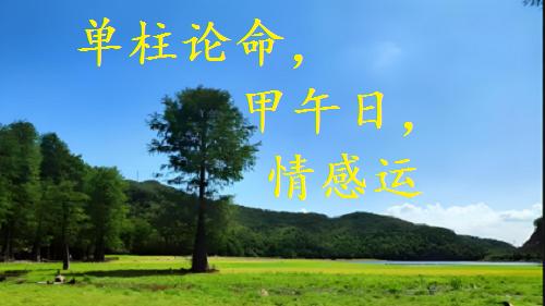 单柱论命，甲午日，情感运